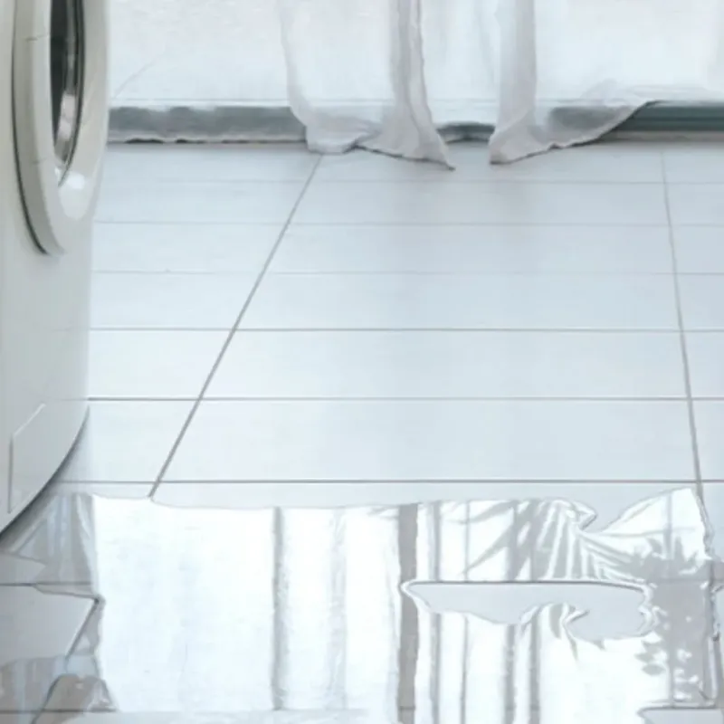 Appliance Leak Cleanup in Big Rock, IL