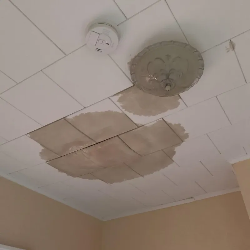 Ceiling Water Damage Repair in Big Rock, IL