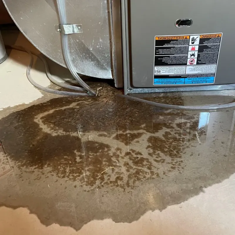 Pipe Burst and Leak Restoration in Big Rock, IL